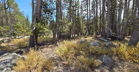 21031 Donner Pass Rd, Soda Springs, CA 95728 Photo