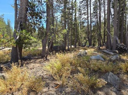 21031 Donner Pass Rd, Soda Springs, CA 95728 Photo
