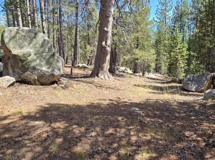 21031 Donner Pass Rd, Soda Springs, CA 95728 Photo
