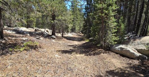 21031 Donner Pass Rd, Soda Springs, CA 95728 Photo