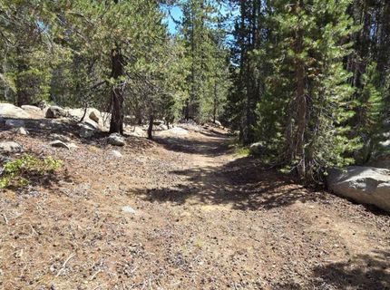 21031 Donner Pass Rd, Soda Springs, CA 95728 Photo