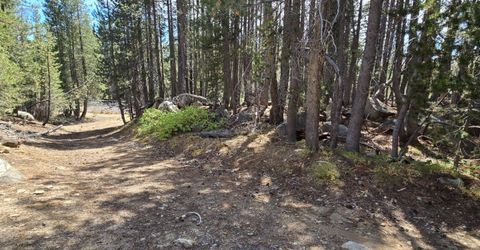 21031 Donner Pass Rd, Soda Springs, CA 95728 Photo