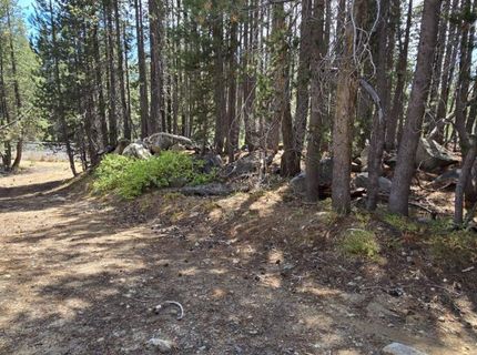21031 Donner Pass Rd, Soda Springs, CA 95728 Photo