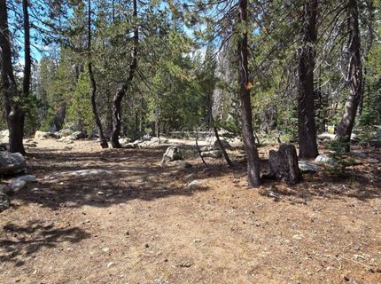 21031 Donner Pass Rd, Soda Springs, CA 95728 Photo