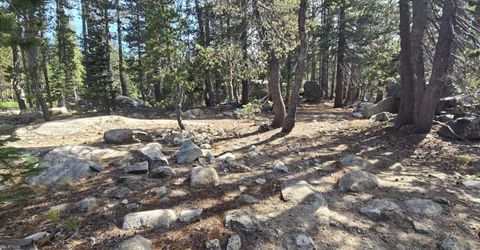 21031 Donner Pass Rd, Soda Springs, CA 95728 Photo