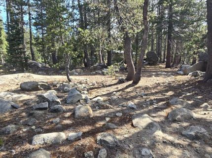 21031 Donner Pass Rd, Soda Springs, CA 95728 Photo
