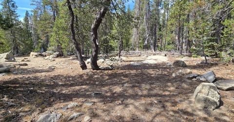 21031 Donner Pass Rd, Soda Springs, CA 95728 Photo