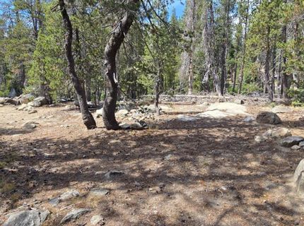 21031 Donner Pass Rd, Soda Springs, CA 95728 Photo