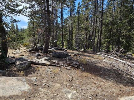 21031 Donner Pass Rd, Soda Springs, CA 95728 Photo