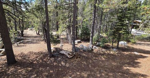 21031 Donner Pass Rd, Soda Springs, CA 95728 Photo