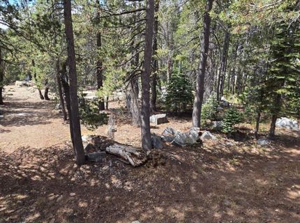 21031 Donner Pass Rd, Soda Springs, CA 95728 Photo