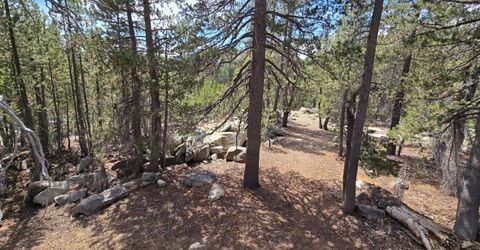 21031 Donner Pass Rd, Soda Springs, CA 95728 Photo