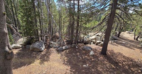 21031 Donner Pass Rd, Soda Springs, CA 95728 Photo