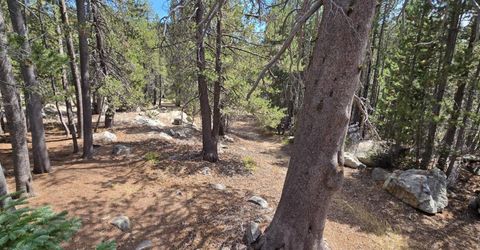21031 Donner Pass Rd, Soda Springs, CA 95728 Photo