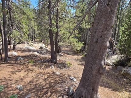 21031 Donner Pass Rd, Soda Springs, CA 95728 Photo