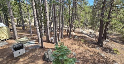 21031 Donner Pass Rd, Soda Springs, CA 95728 Photo