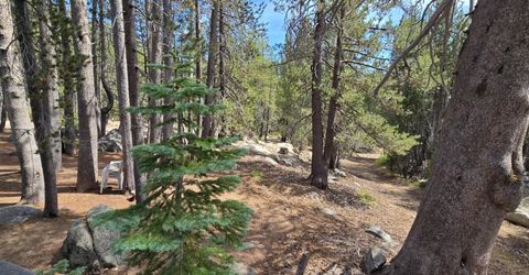 21031 Donner Pass Rd, Soda Springs, CA 95728 Photo