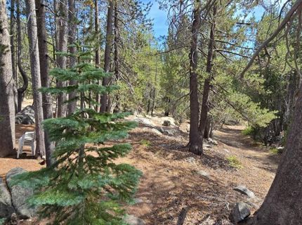 21031 Donner Pass Rd, Soda Springs, CA 95728 Photo