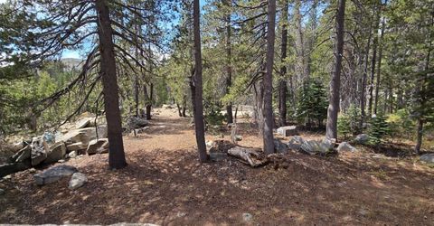 21031 Donner Pass Rd, Soda Springs, CA 95728 Photo