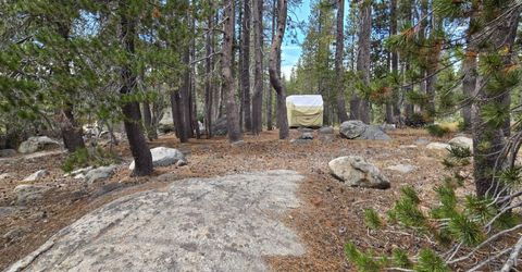 21031 Donner Pass Rd, Soda Springs, CA 95728 Photo
