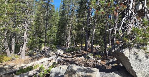 21031 Donner Pass Rd, Soda Springs, CA 95728 Photo
