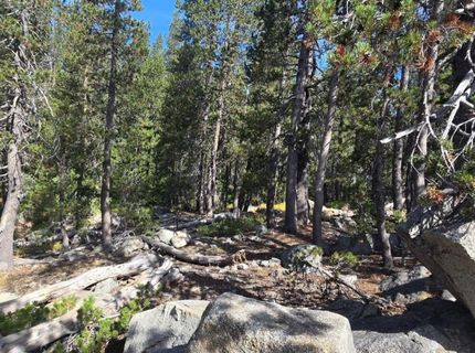 21031 Donner Pass Rd, Soda Springs, CA 95728 Photo