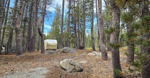 21031 Donner Pass Rd, Soda Springs, CA 95728 Photo