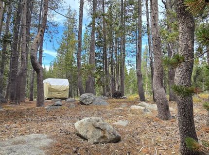 21031 Donner Pass Rd, Soda Springs, CA 95728 Photo