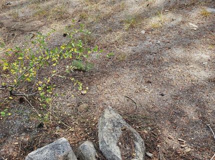 21031 Donner Pass Rd, Soda Springs, CA 95728 Photo