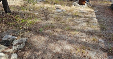 21031 Donner Pass Rd, Soda Springs, CA 95728 Photo