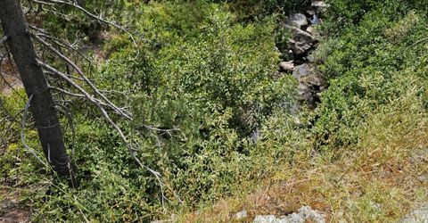 21031 Donner Pass Rd, Soda Springs, CA 95728 Photo