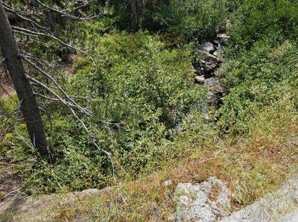 21031 Donner Pass Rd, Soda Springs, CA 95728 Photo