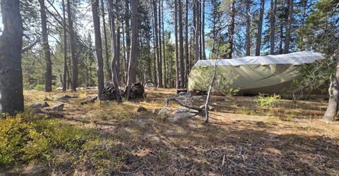 21031 Donner Pass Rd, Soda Springs, CA 95728 Photo