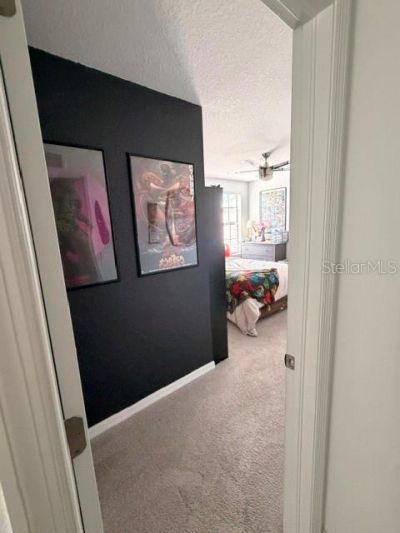 9116 Tequila Sunrise Drive, Sarasota, FL 34241 Photo