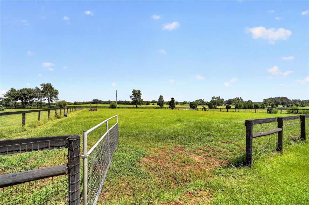 20462 SW 36th Street, Dunnellon, FL 34431 Photo