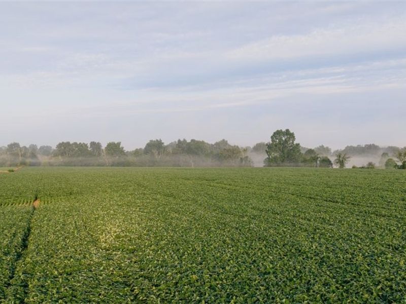 N Kohler Road, Orrville, OH 44667 Photo 19