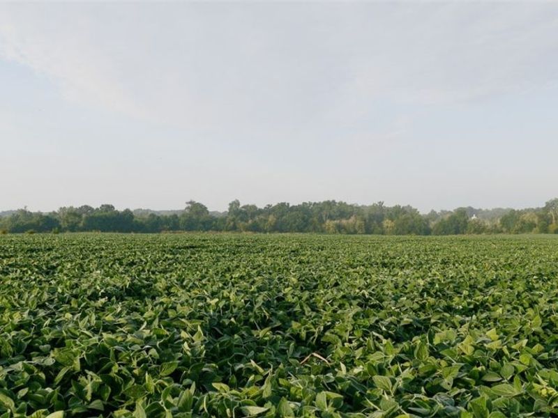 N Kohler Road, Orrville, OH 44667 Photo 2