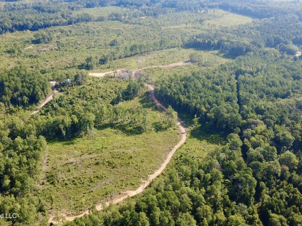 Terry Road, Kosciusko, MS 39090