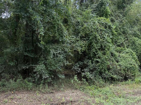 Lot 4 Pascagoula River Drive, Lucedale, MS 39452