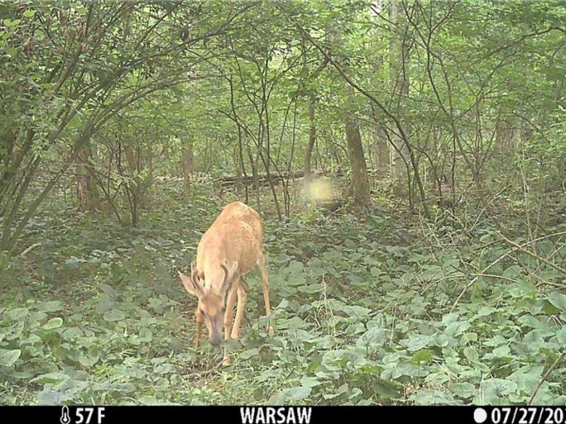 21626 TR 80, Warsaw, OH 43844 Photo 38