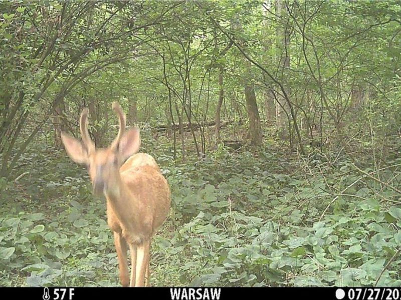 21626 TR 80, Warsaw, OH 43844 Photo 39