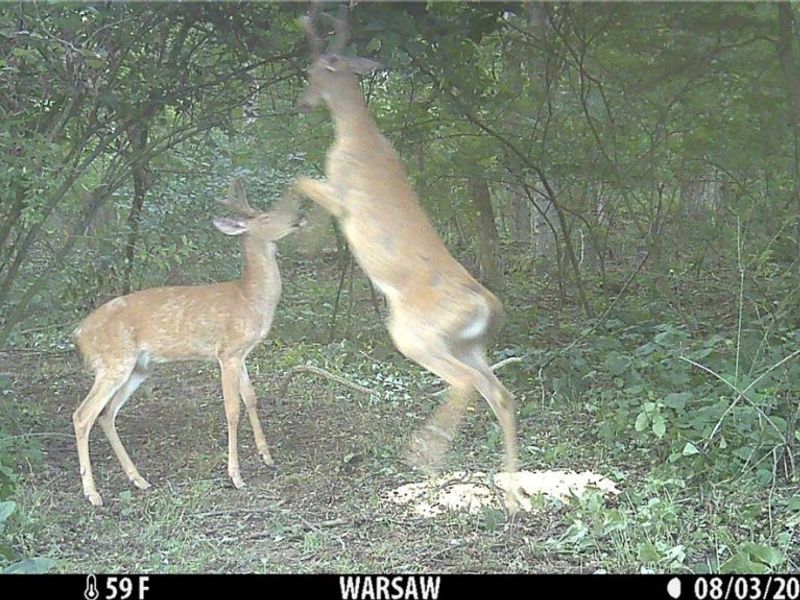 21626 TR 80, Warsaw, OH 43844 Photo 40