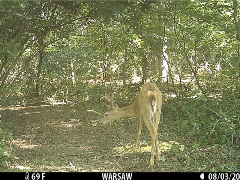 21626 TR 80, Warsaw, OH 43844 Photo 41