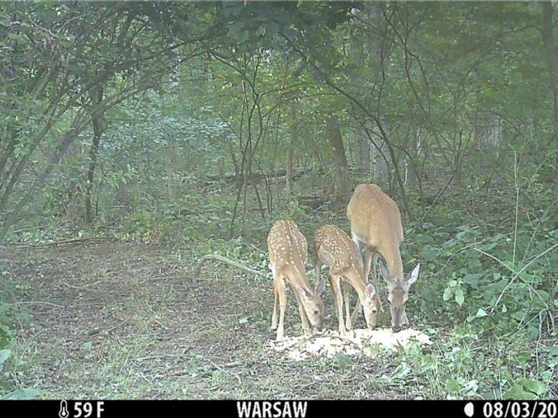 21626 TR 80, Warsaw, OH 43844 Photo 8