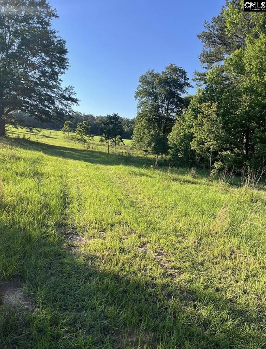 1341 Track Road Photo 14