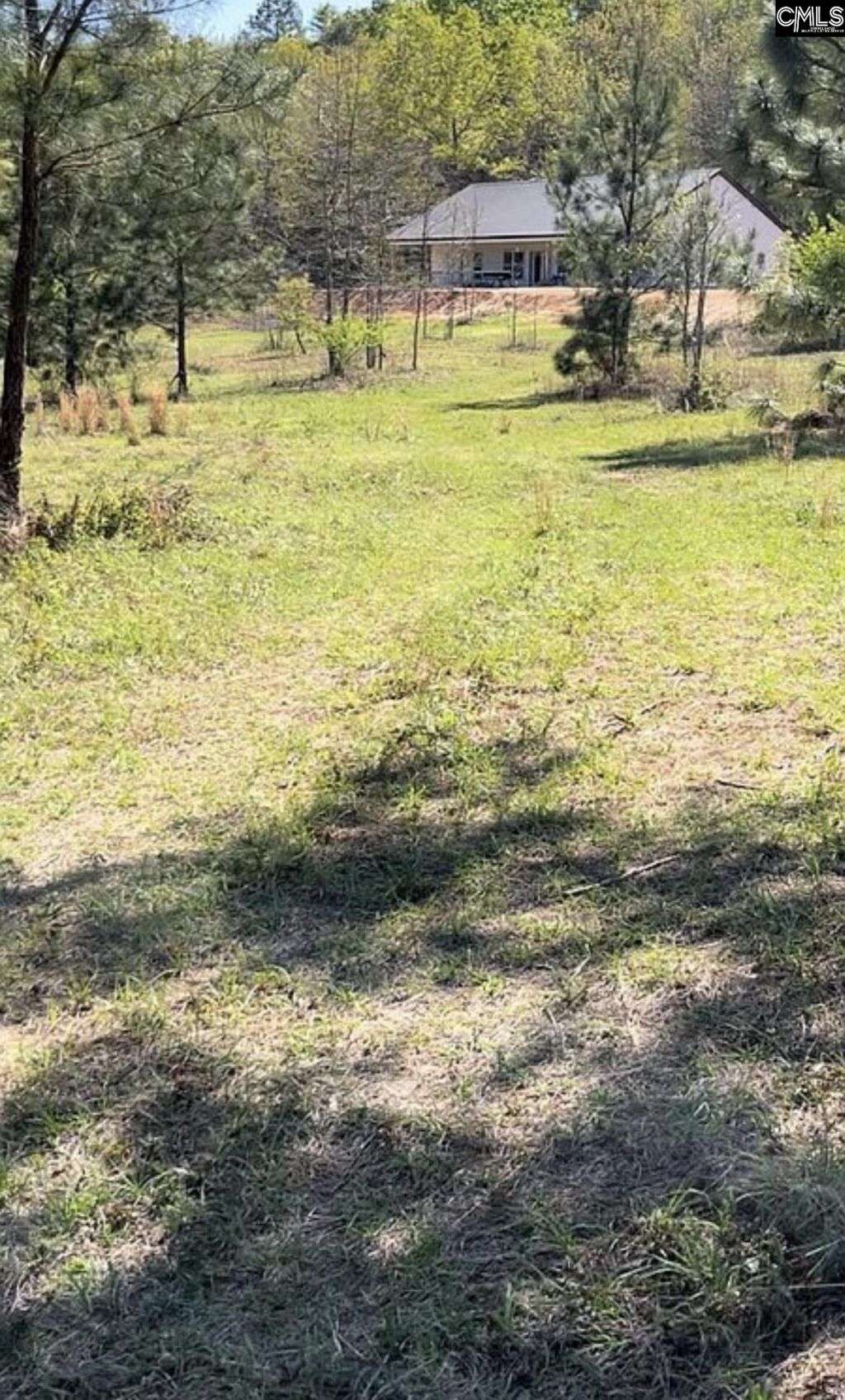 1341 Track Road Photo 5