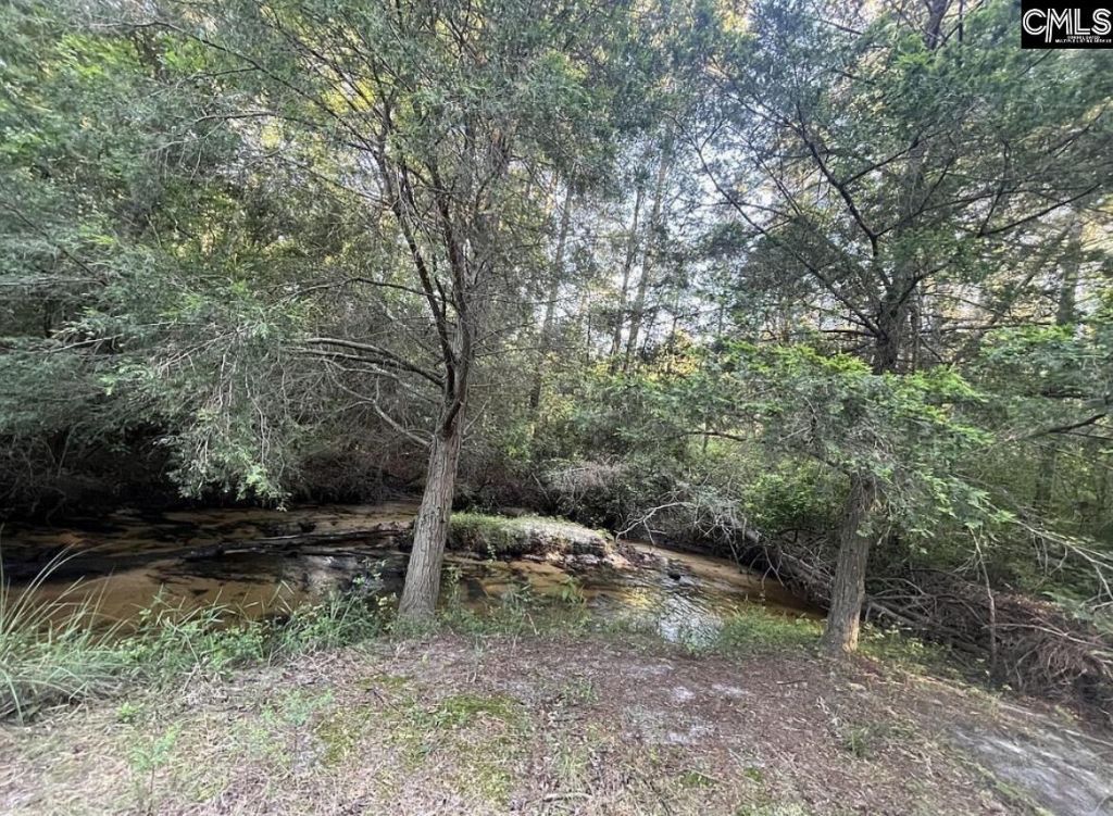 1341 Track Road Photo 7