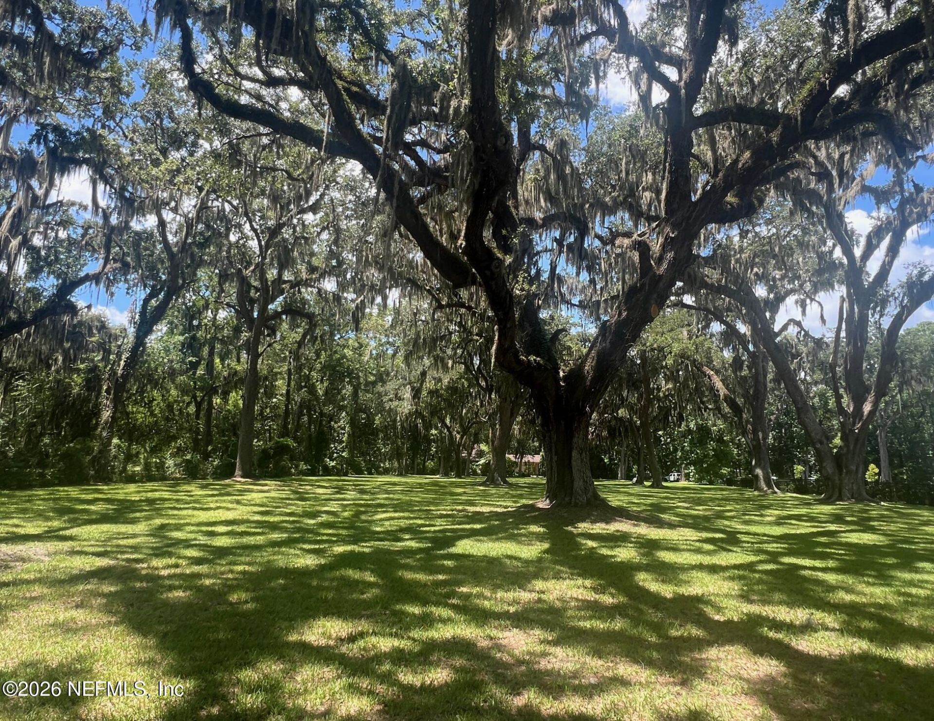 154 Cedar Run Drive, Fleming Island, FL 32003 Photo