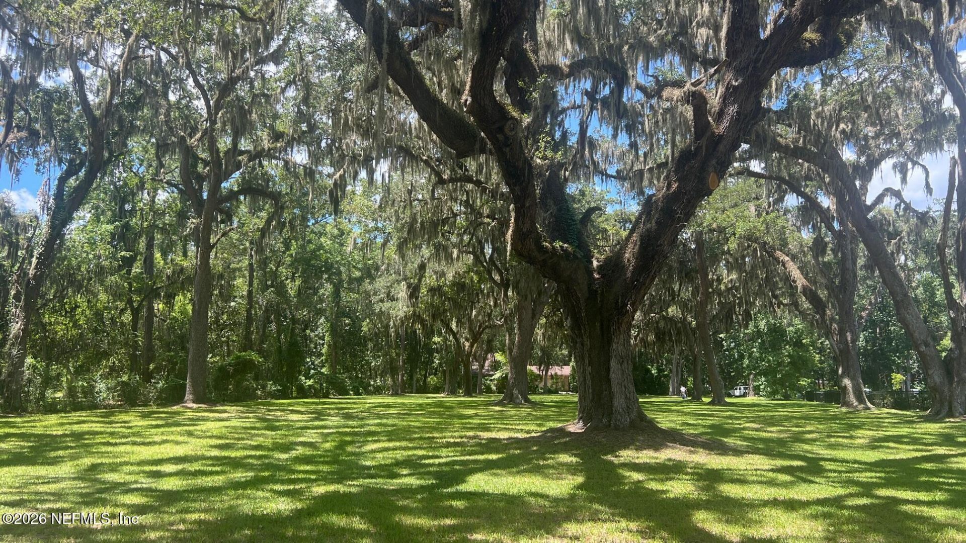 154 Cedar Run Drive, Fleming Island, FL 32003 Photo