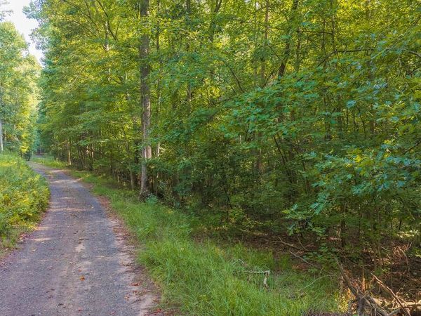 0 Wildwood Trail, Talking Rock, GA 30175